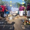 Thaipongal_Festival_2024